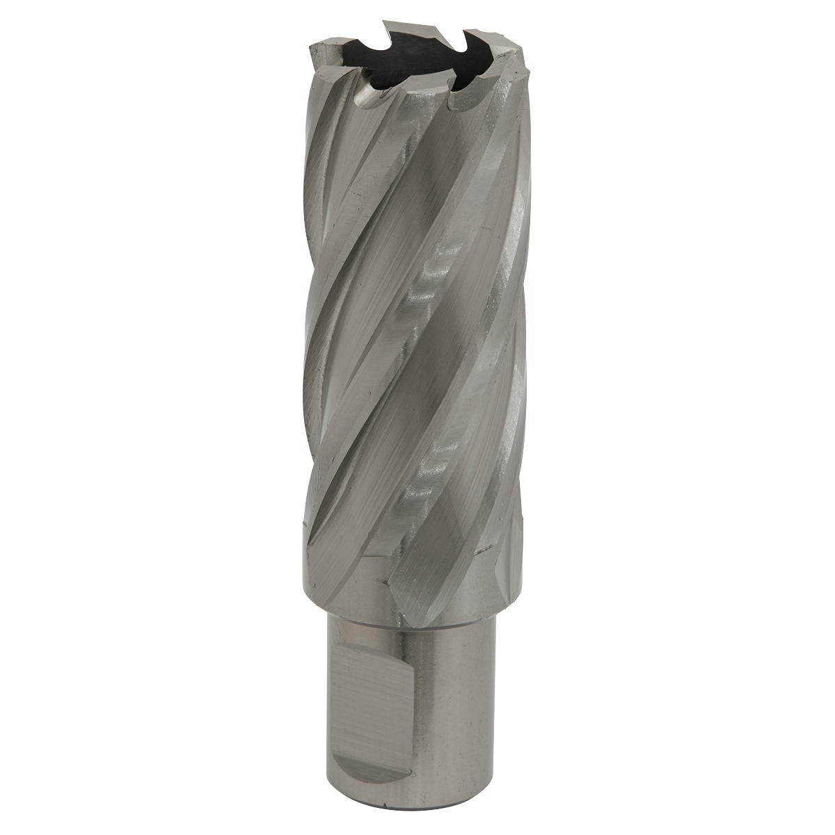 Rotabor Cutter HSS Ø25mm - Cut Depth 50mm RBHSS25L