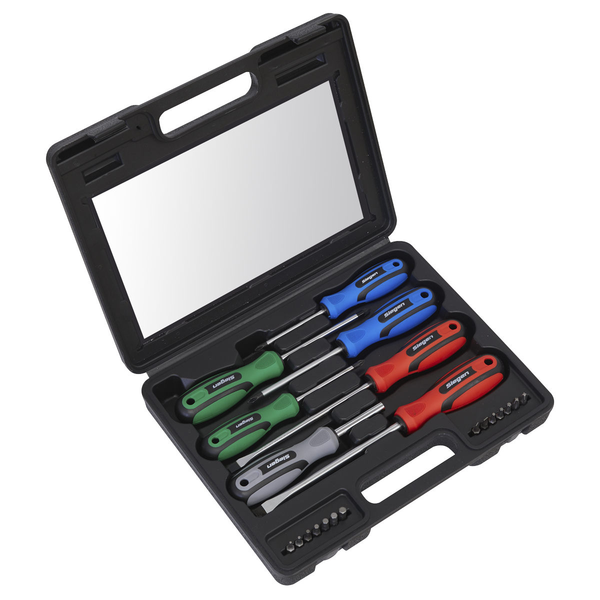 Screwdriver Set 21pc with Storage Case S0923