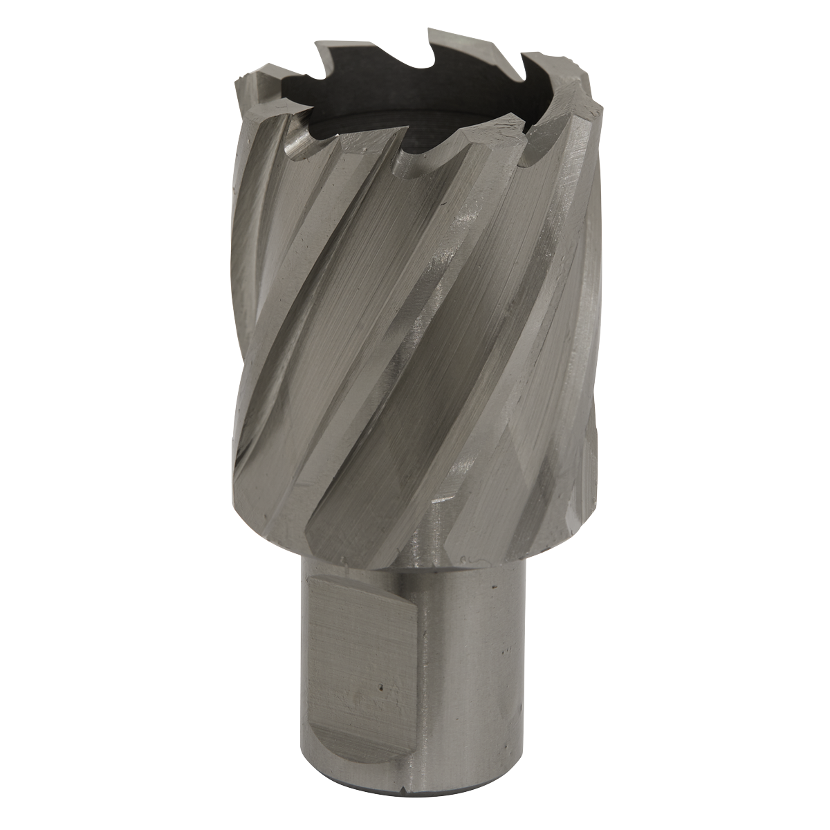 Rotabor Cutter HSS Ø32mm - Cut Depth 25mm RBHSS32S