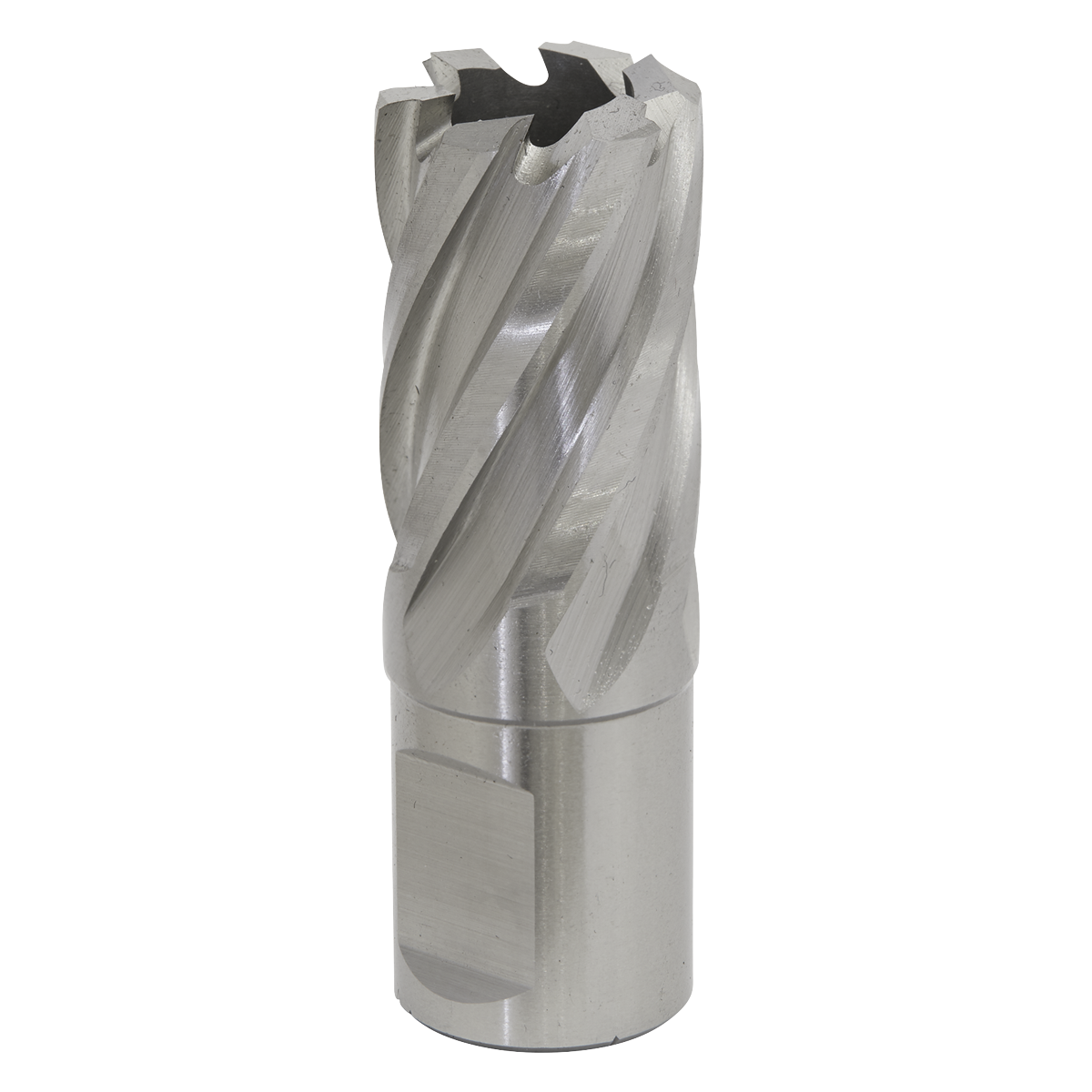 Rotabor Cutter HSS Ø21mm - Cut Depth 25mm RBHSS21S