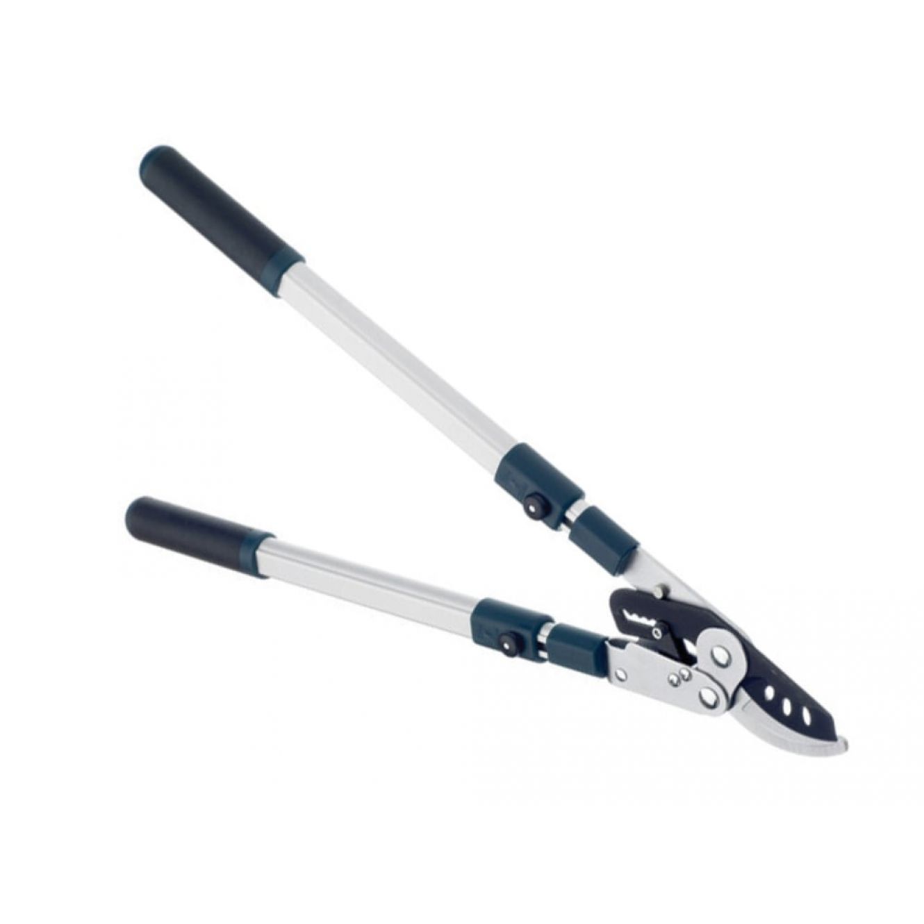 BD3113TW Evergreen Extending Bypass Loppers BULBD3113TW