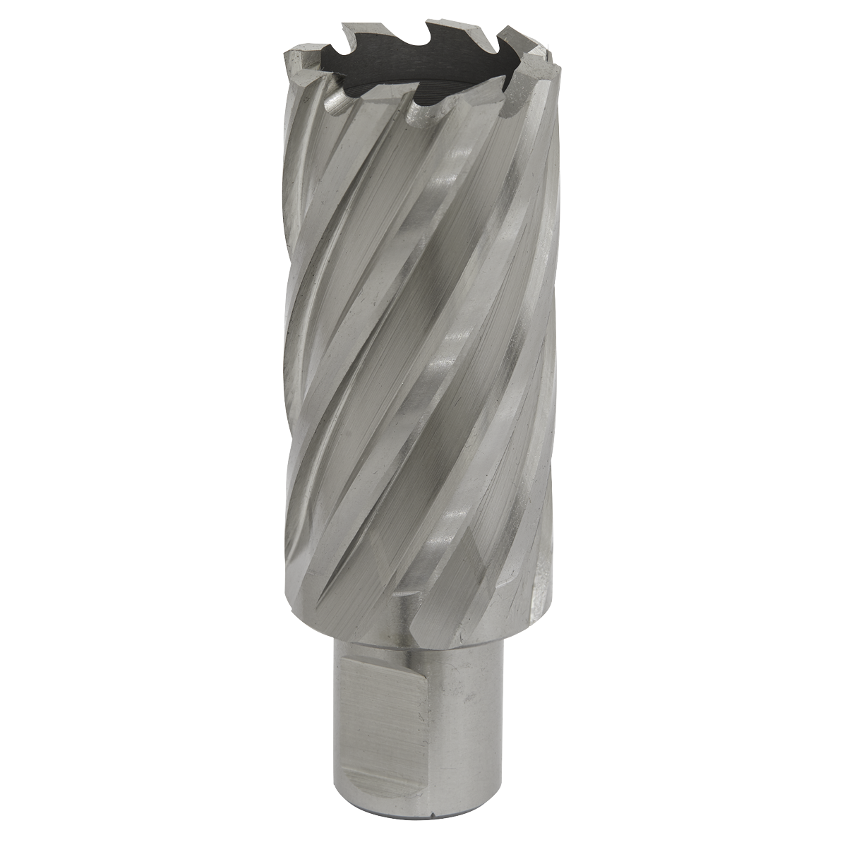 Rotabor Cutter HSS Ø29mm - Cut Depth 50mm RBHSS29L