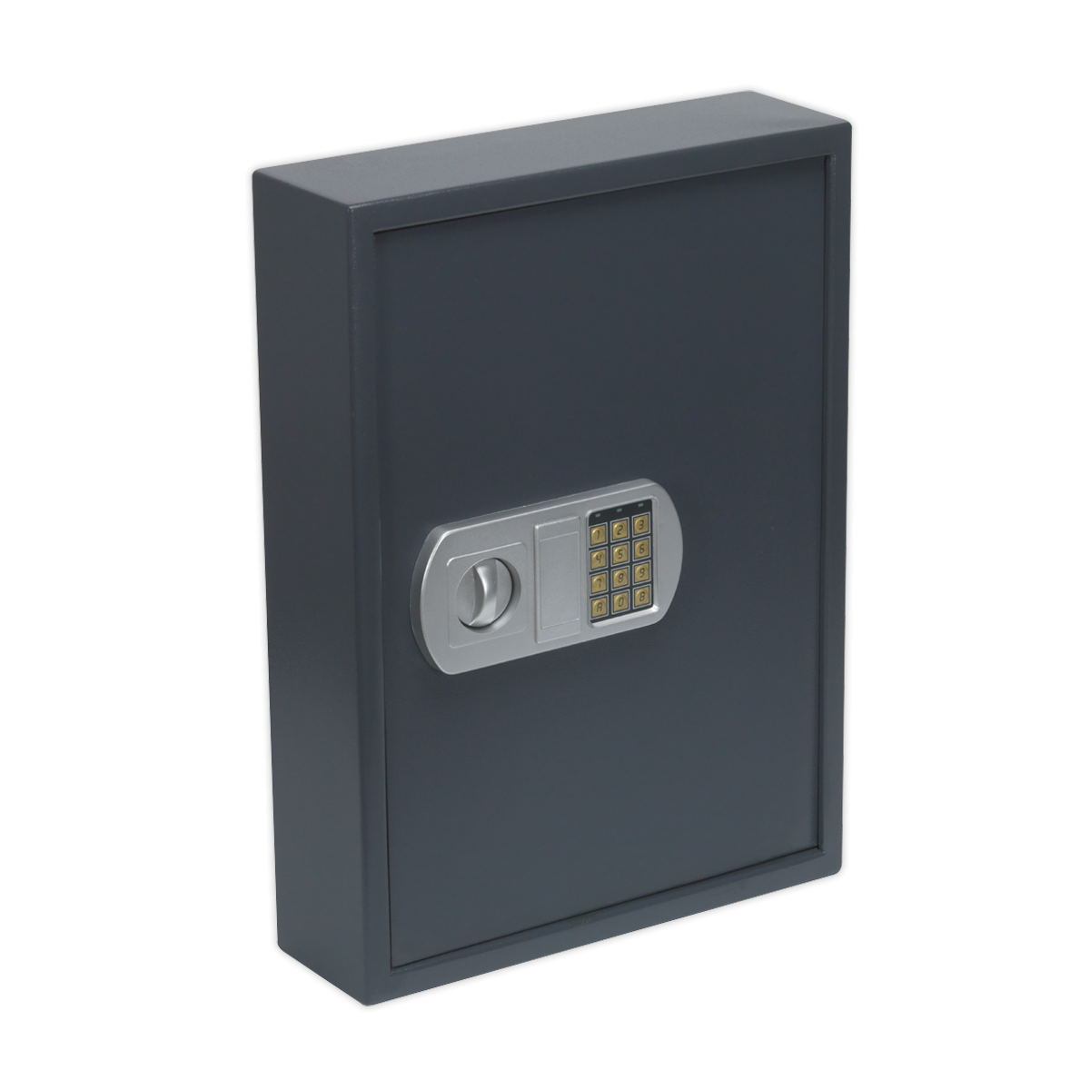 Electronic Key Cabinet 100 Key Capacity SEKC100