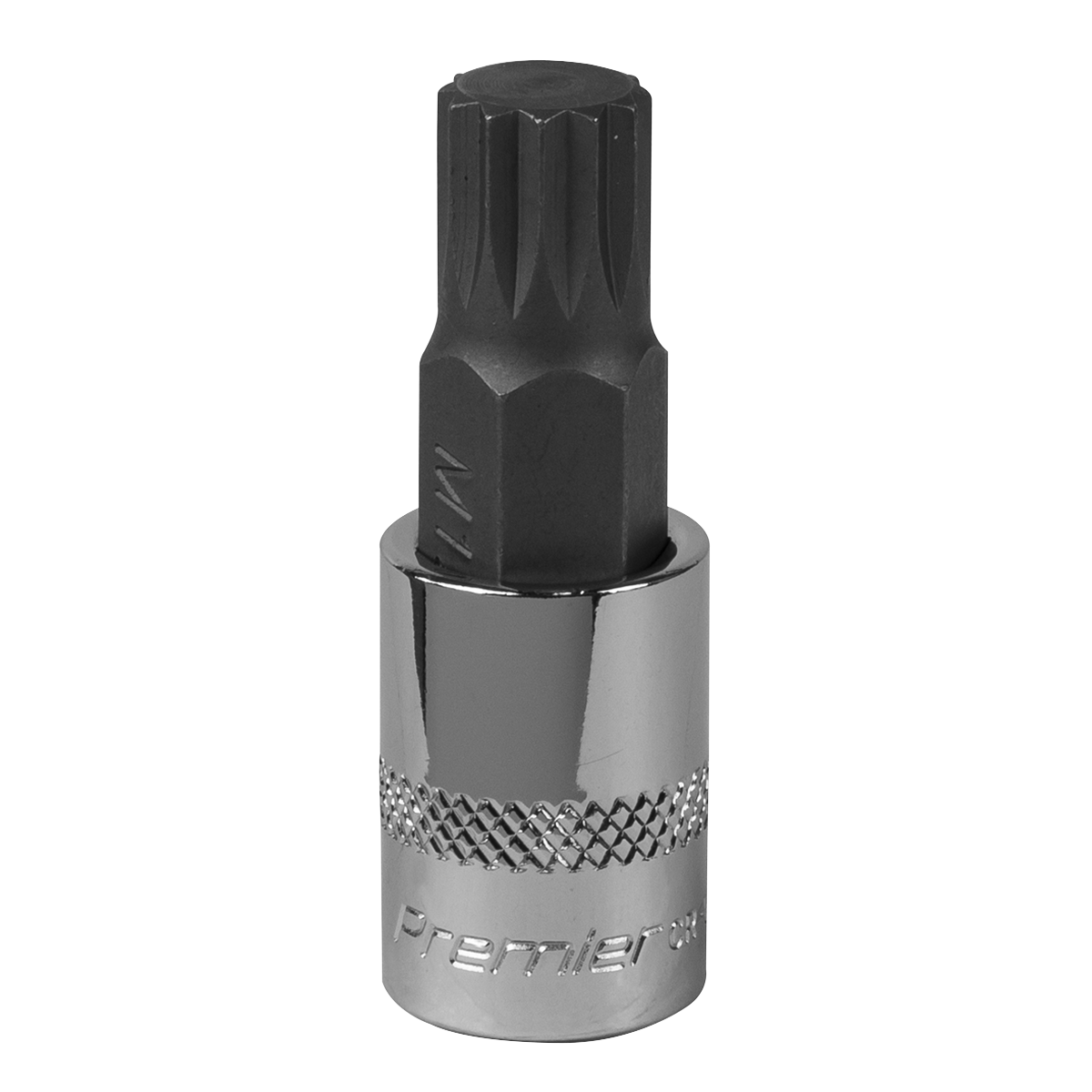 Spline Socket Bit M12 3/8"Sq Drive SBS009