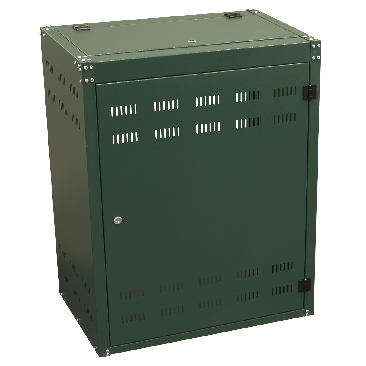 Solid Gas Cylinder Safety Cabinet - 2 x19kg SGCSC219