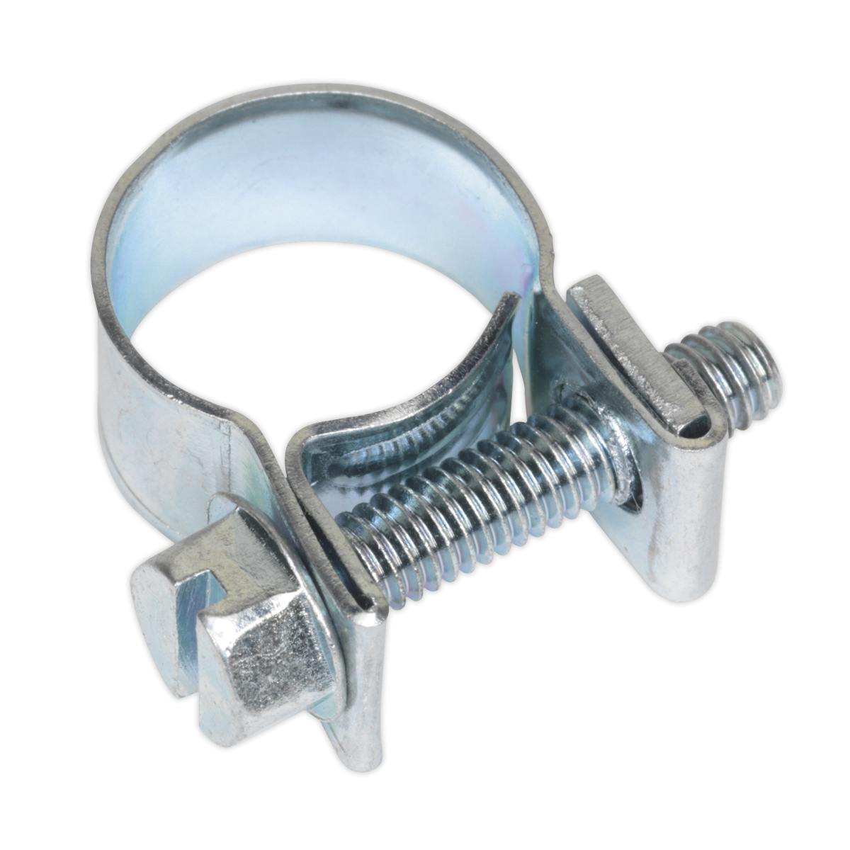 Mini Hose Clip Ø11-13mm Pack of 30 MHC1113