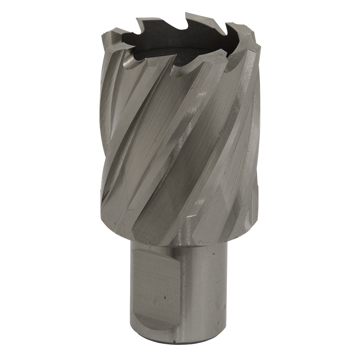 Rotabor Cutter HSS Ø33mm - Cut Depth 25mm RBHSS33S