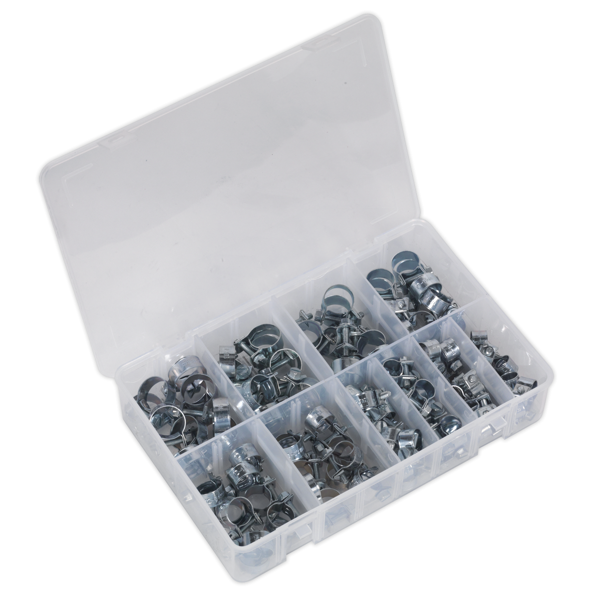 Mini Hose Clip Assortment 100pc AB042MH