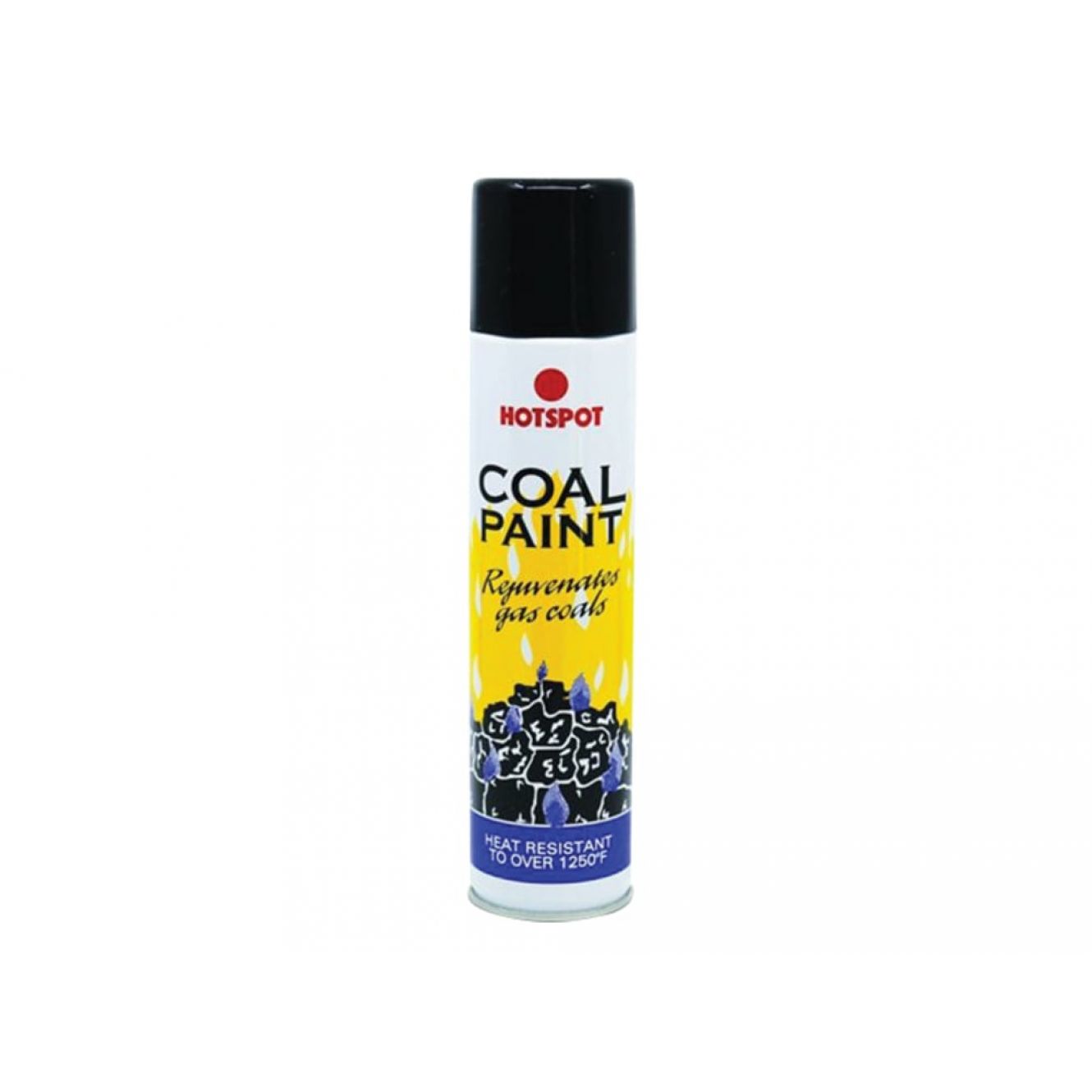 Coal Paint 300ml HOT201731