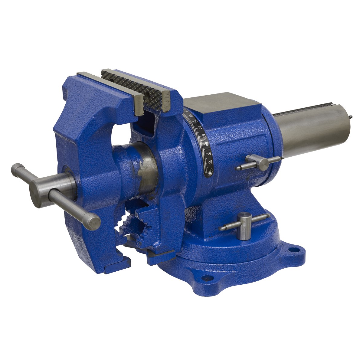 Vice Cast Iron Multifunction Swivel Base 150mm MFV150