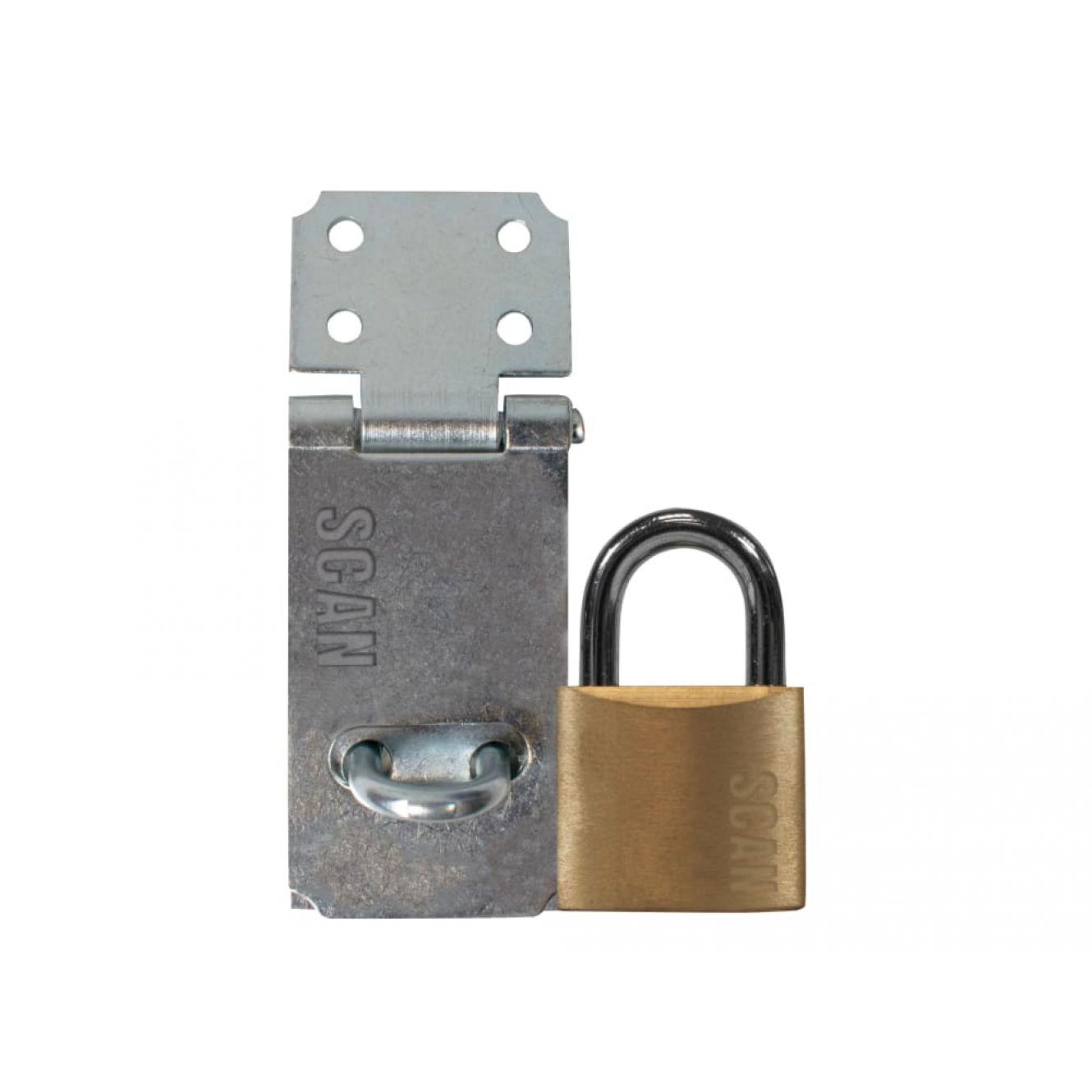 Hasp and Staple + Padlock