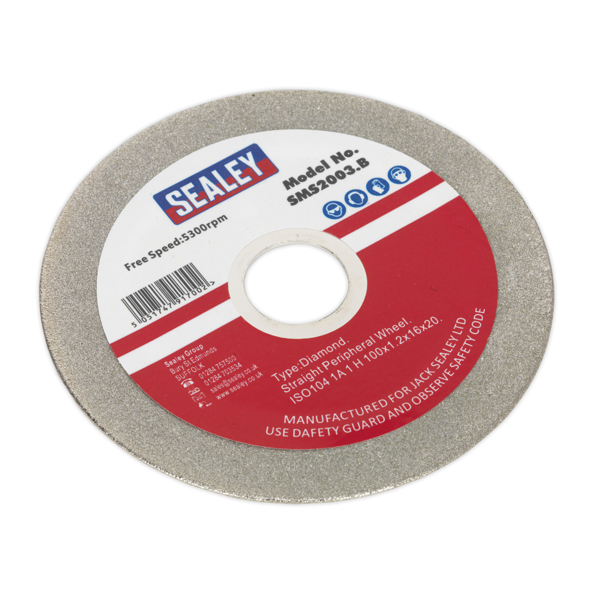 Grinding Disc Diamond Coated 100mm for SMS2003 SMS2003.B