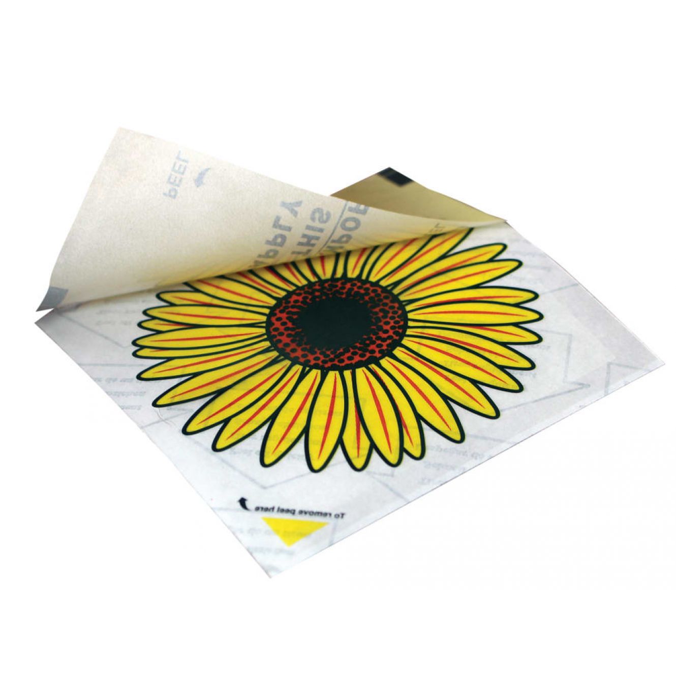 Advanced Window Fly Traps (Pack 4) RKLFW35