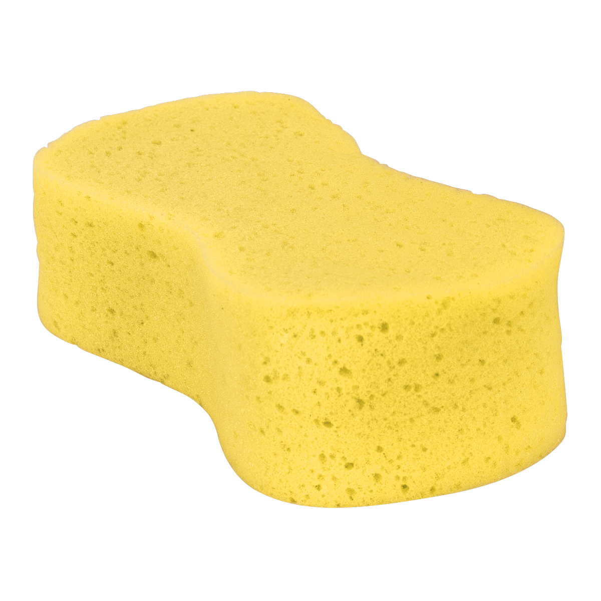 Large Sponge CC64