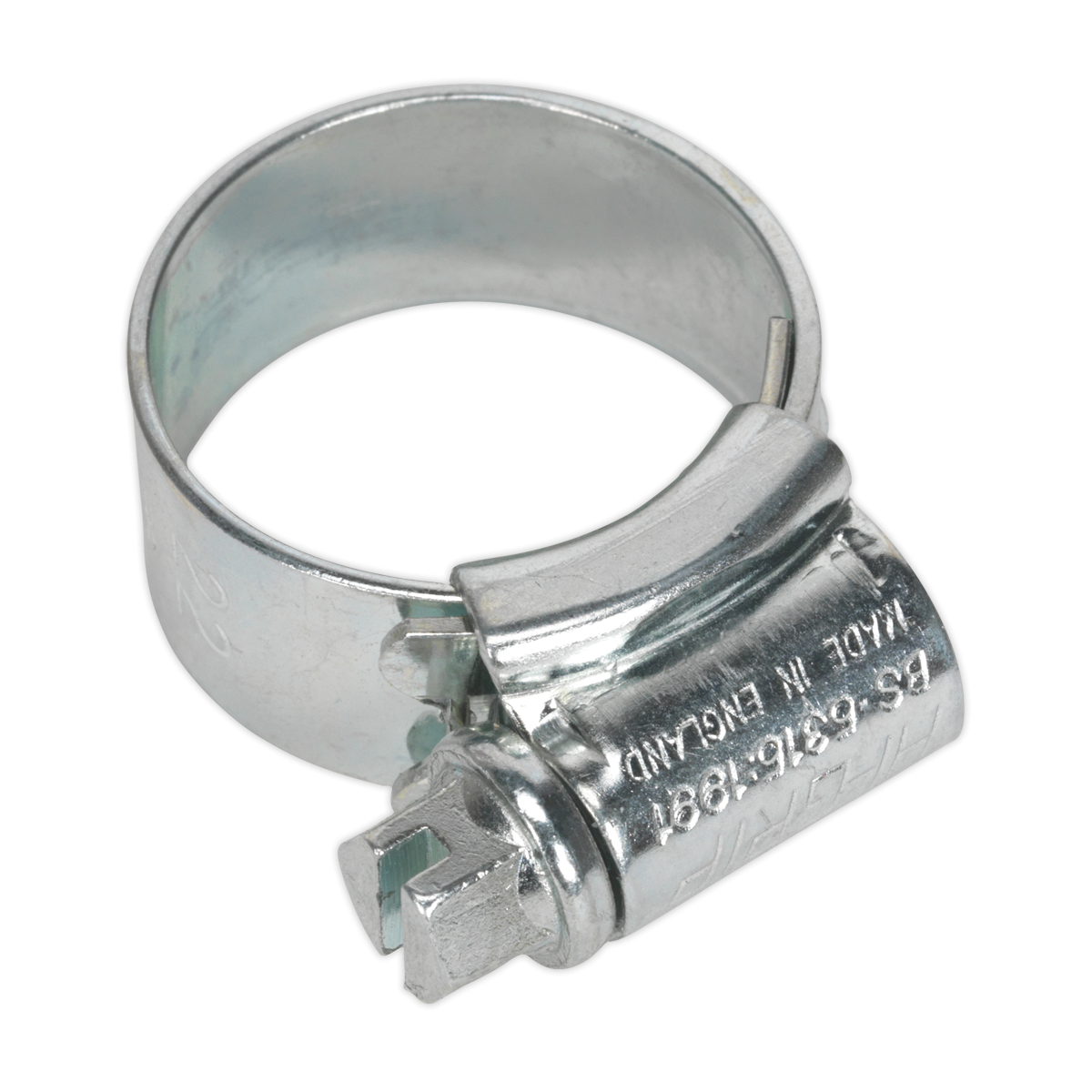 HI-GRIP® Hose Clip Zinc Plated Ø14-22mm Pack of 30 HCJ0