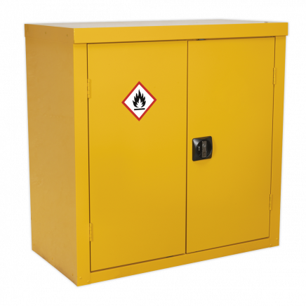 Hazardous Substance Cabinet 900 x 460 x 900mm FSC05