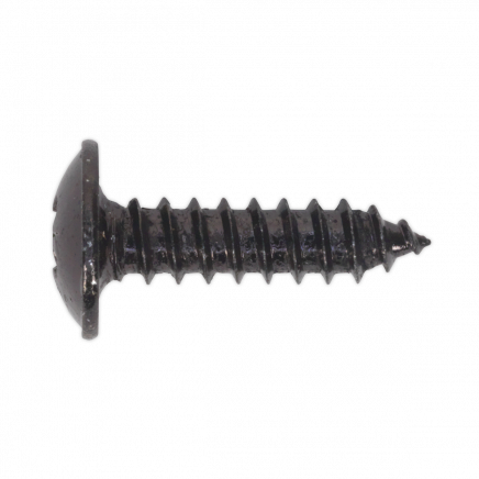 Self-Tapping Screw 4.2 x 16mm Flanged Head Black Pozi Pack of 100 BST4216