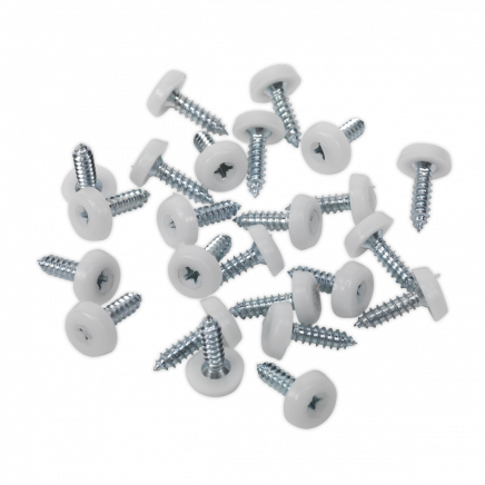 Numberplate Screw Plastic Enclosed Head 4.8 x 18mm White Pack of 50 PTNP1