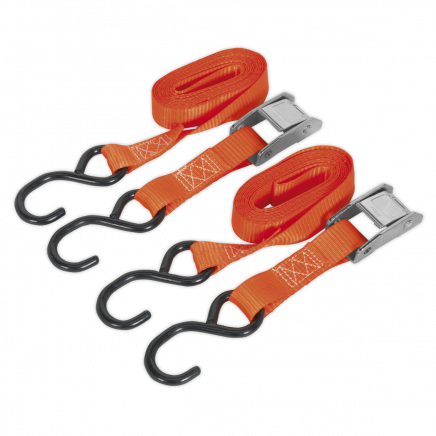 Cam Buckle Strap 25mm x 2.5m Polyester Webbing with S-Hooks 250kg Breaking Strength TD2525CS