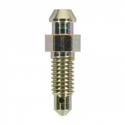 Brake Bleed Screw M6 x 29mm 1mm Pitch Pack of 10 BS6129