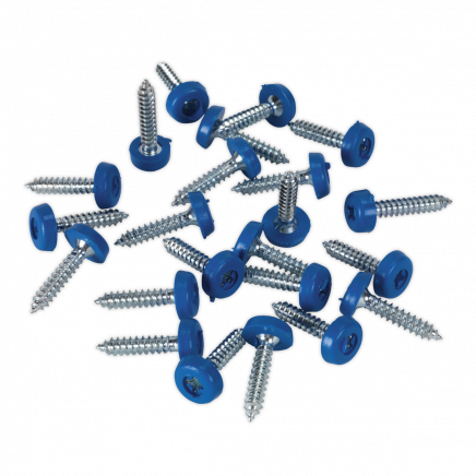 Numberplate Screw Plastic Enclosed Head 4.8 x 24mm Blue Pack of 50 PTNP8