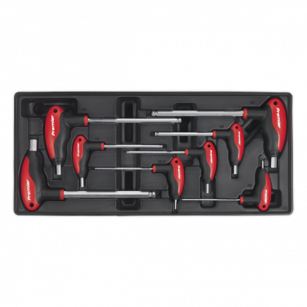 Tool Tray with T-Handle Ball-End Hex Key Set 8pc TBT06