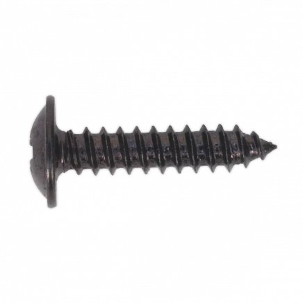 Self-Tapping Screw 4.2 x 19mm Flanged Head Black Pozi Pack of 100 BST4219