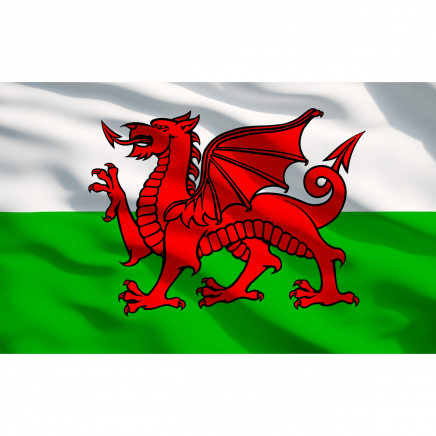 Toolbox Graphics Pack - Wales APTBG03