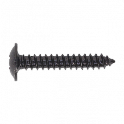 Self-Tapping Screw 4.2 x 25mm Flanged Head Black Pozi Pack of 100 BST4225