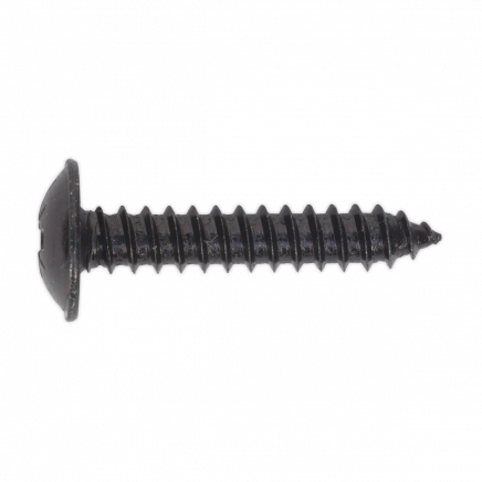Self-Tapping Screw 4.8 x 25mm Flanged Head Black Pozi Pack of 100 BST4825