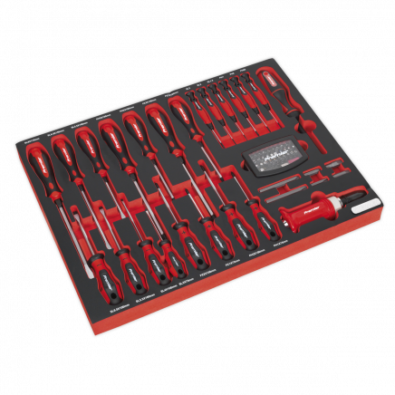 Tool Tray with Screwdriver Set 72pc TBTP04