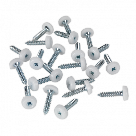 Numberplate Screw Plastic Enclosed Head 4.8 x 24mm White Pack of 50 PTNP5