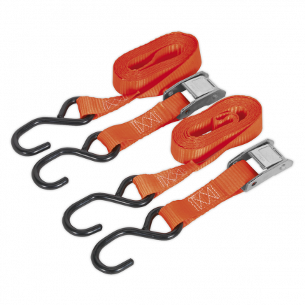 Cam Buckle Strap 25mm x 2.5m Polyester Webbing with S-Hooks 500kg Breaking Strength TD05025CS