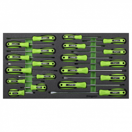 Tool Tray with Screwdriver Set 20pc S01276