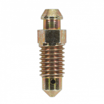 Brake Bleed Screw M8 x 24mm 1.25mm Pitch Pack of 10 BS8125