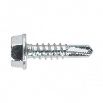 Self-Drilling Screw 4.8 x 19mm Hex Head Zinc Pack of 100 SDHX4819