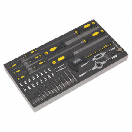 Tool Tray with Tap & Die, File & Caliper Set 48pc S01132