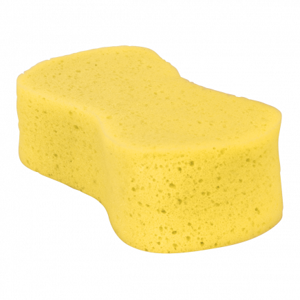 Large Sponge CC64
