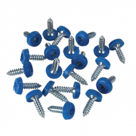 Numberplate Screw Plastic Enclosed Head 4.8 x 18mm Blue Pack of 50 PTNP4