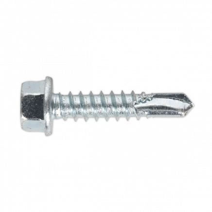 Self-Drilling Screw 5.5 x 25mm Hex Head Zinc Pack of 100 SDHX5525