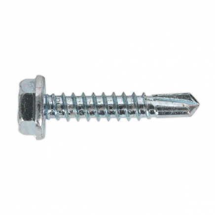 Self-Drilling Screw 4.8 x 25mm Hex Head Zinc Pack of 100 SDHX4825